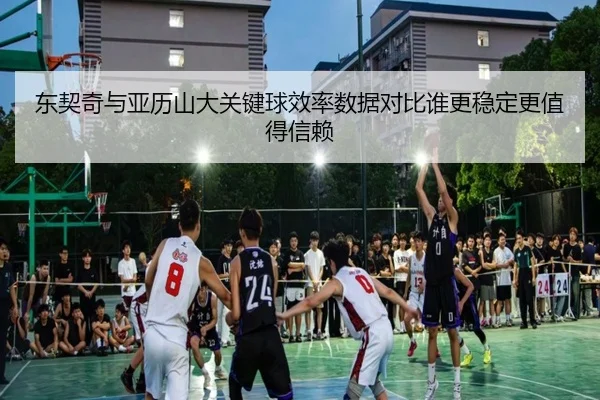 东契奇与亚历山大关键球效率数据对比谁更稳定更值得信赖