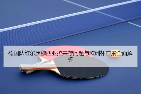 德国队维尔茨穆西亚拉共存问题与欧洲杯前景全面解析