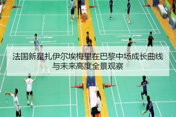 法国新星扎伊尔埃梅里在巴黎中场成长曲线与未来高度全景观察